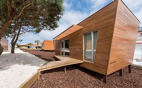 Golden Halcyon - Ericeira Villas